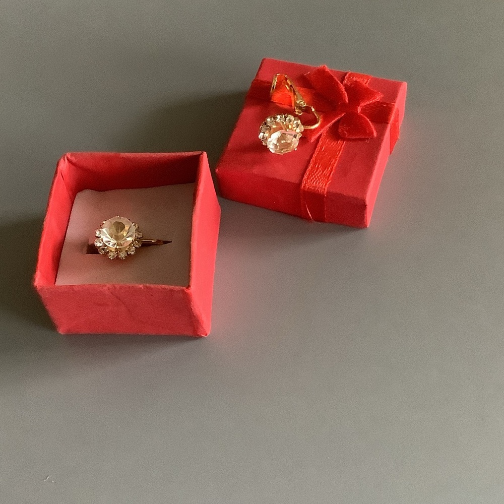 Crystal Halo Clip Earrings.